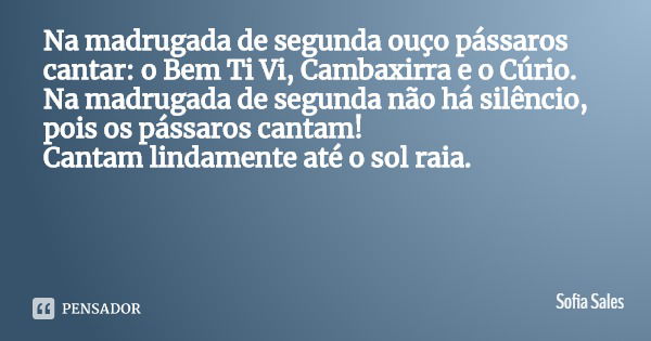 Na madrugada de segunda ouço pássaros cantar: o Bem Ti Vi, Cambaxirra e o Cúrio.
Na madrugada de segunda não há silêncio, pois os pássaros cantam!
Cantam lindam... Frase de Sofia Sales.