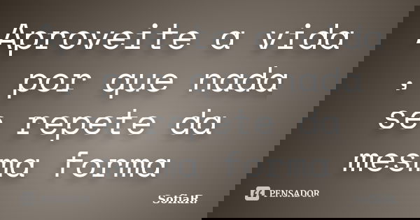 Aproveite a vida , por que nada se repete da mesma forma... Frase de SofiaR..
