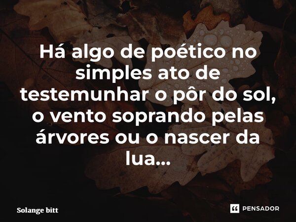 ⁠Há algo de poético no simples ato de testemunhar o pôr do sol, o vento soprando pelas árvores ou o nascer da lua…... Frase de Solange Bittencourt.