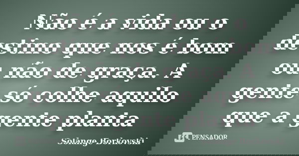 Não é a vida ou o destino que nos é bom ou não de graça. A gente só colhe aquilo que a gente planta.... Frase de Solange Borkovski.