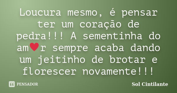 Loucura mesmo, é pensar ter um coração de pedra!!! A sementinha do am♥r sempre acaba dando um jeitinho de brotar e florescer novamente!!!... Frase de Sol Cintilante.