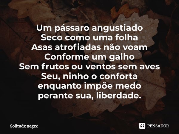 Um pássaro angustiado
Seco como uma folha
Asas atrofiadas não voam
Conforme um galho
Sem frutos ou ventos sem aves
Seu, ninho o conforta
enquanto impõe medo
per... Frase de Solitudx negrx.