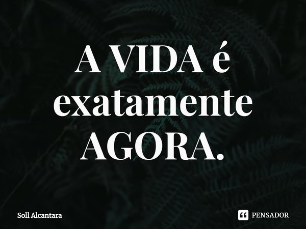 ⁠A VIDA é exatamente AGORA.... Frase de Soll Alcantara.