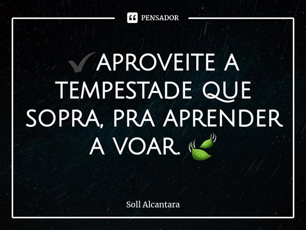 ✔aproveite a tempestade que sopra, pra aprender a voar. 🍃... Frase de Soll Alcantara.