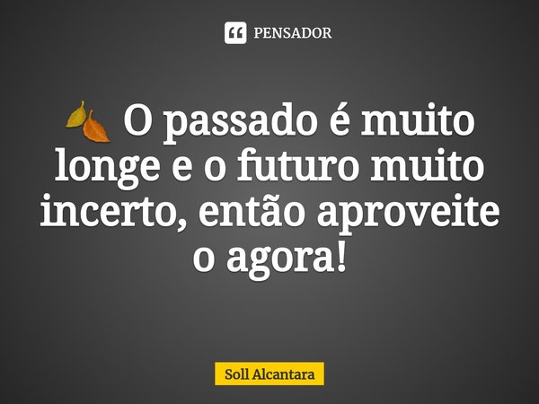 ⁠🍂 O passado é muito longe e o futuro muito incerto, então aproveite o agora!... Frase de Soll Alcantara.