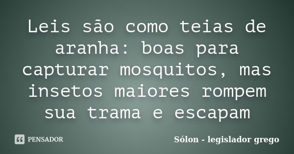 Leis são como teias de aranha: boas para capturar mosquitos, mas insetos maiores rompem sua trama e escapam... Frase de Sólon - legislador grego.