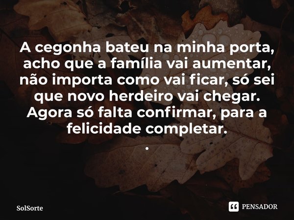 ⁠A cegonha bateu na minha porta, acho que a família vai aumentar, não importa como vai ficar, só sei que novo herdeiro vai chegar. Agora só falta confirmar, par... Frase de SolSorte.