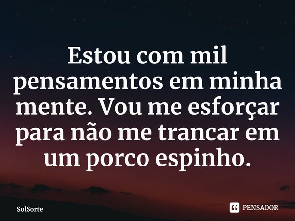 Estou com mil pensamentos em minha mente.⁠ Vou me esforçar para não me trancar em um porco espinho.... Frase de Solsorte.