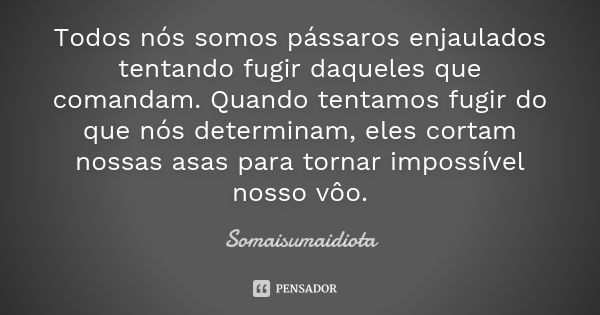 Todos nós somos pássaros enjaulados tentando fugir daqueles que comandam. Quando tentamos fugir do que nós determinam, eles cortam nossas asas para tornar impos... Frase de Somaisumaidiota.