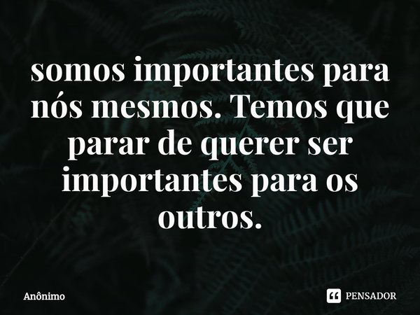 ⁠somos importantes para nós mesmos. Temos que parar de querer ser importantes para os outros.... Frase de Anônimo.