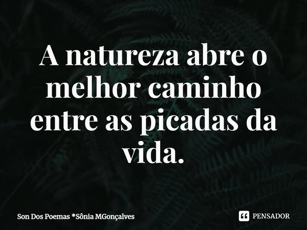 ⁠A natureza abre o melhor caminho entre as picadas da vida.... Frase de Son Dos Poemas *Sônia MGonçalves.