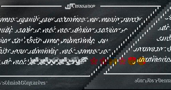 Somos aquilo que atraímos na maior parte da vida, cabe a nós nos deixar cativar e cultivar tal feito uma plantinha, ou arrancar feito erva daninha, nós somos os... Frase de Son Dos Poemas *SôniaMGonçalves.