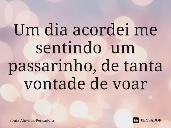 Um dia acordei me sentindo um passarinho, de tanta vontade de voar⁠... Frase de Sonia Almeida-Pensadora.