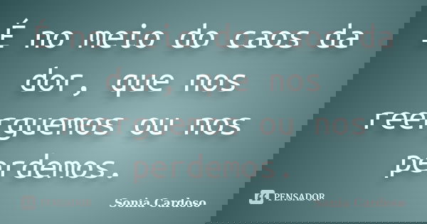 É no meio do caos da dor, que nos reerguemos ou nos perdemos.... Frase de Sonia Cardoso.