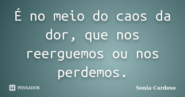 É no meio do caos da dor, que nos reerguemos ou nos perdemos.... Frase de Sonia Cardoso.