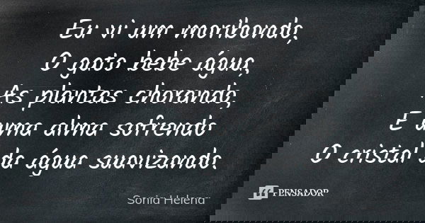 Eu vi um moribondo, O gato bebe água, As plantas chorando, E uma alma sofrendo O cristal da água suavizando.... Frase de Sonia Helena.
