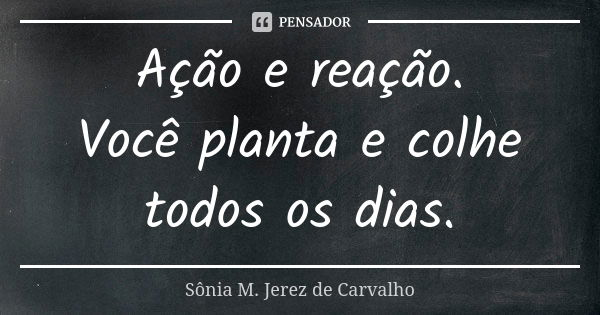 Ação e reação. Você planta e colhe todos os dias.... Frase de Sônia M. Jerez de Carvalho.