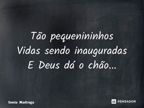 ⁠Tão pequenininhos Vidas sendo inauguradas E Deus dá o chão...... Frase de Sonia Madruga.