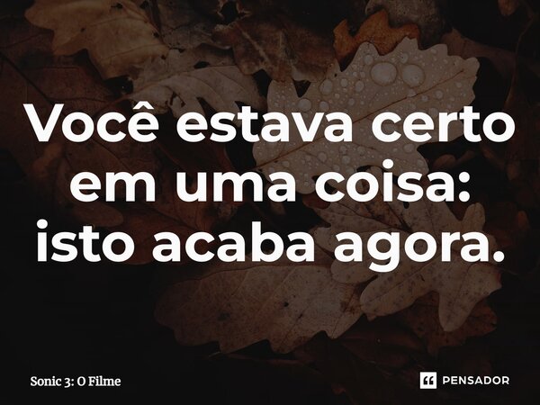 ⁠Você estava certo em uma coisa: isto acaba agora.... Frase de Sonic 3: O Filme.