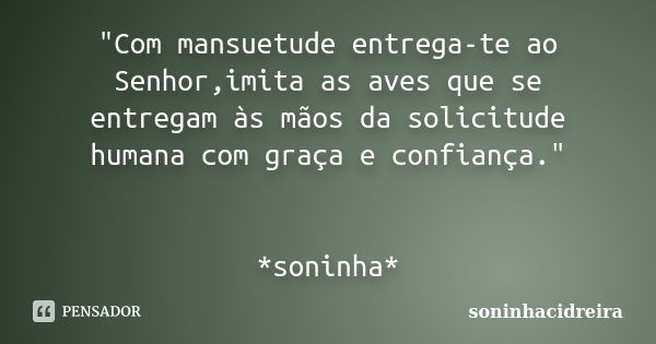 "Com mansuetude entrega-te ao Senhor,imita as aves que se entregam às mãos da solicitude humana com graça e confiança." *soninha*... Frase de soninhacidreira.