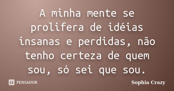 A minha mente se prolifera de idéias insanas e perdidas, não tenho certeza de quem sou, só sei que sou.... Frase de Sophia Crazy.