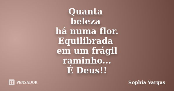 Quanta beleza há numa flor. Equilibrada em um frágil raminho... É Deus!!... Frase de Sophia Vargas.