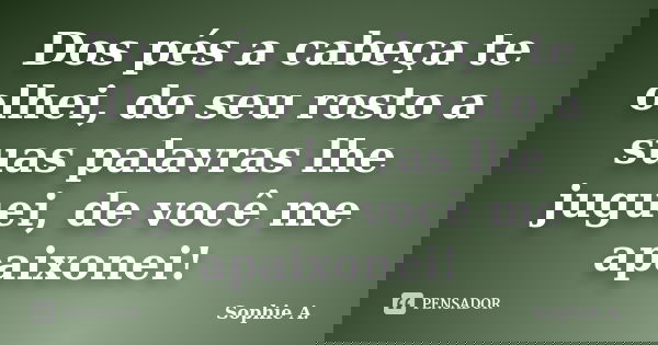 Dos pés a cabeça te olhei, do seu rosto a suas palavras lhe juguei, de você me apaixonei!... Frase de Sophie A..