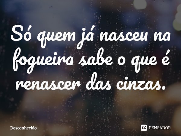 ⁠Só quem já nasceu na fogueira sabe o que é renascer das cinzas.