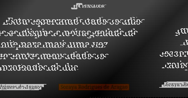 Estou esperando todos os dias que se dissipe a névoa gelada da noite para mais uma vez escorrer entre meus dedos os raios prateados da lua.... Frase de Soraya Rodrigues de Aragao.
