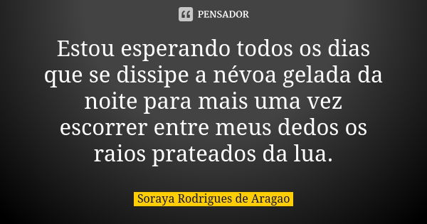 Estou esperando todos os dias que se dissipe a névoa gelada da noite para mais uma vez escorrer entre meus dedos os raios prateados da lua.... Frase de Soraya Rodrigues de Aragao.