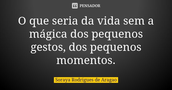 O que seria da vida sem a mágica dos pequenos gestos, dos pequenos momentos.... Frase de Soraya Rodrigues de Aragao.