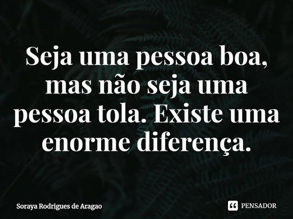 ⁠Seja uma pessoa boa, mas não seja uma pessoa tola. Existe uma enorme diferença.... Frase de Soraya Rodrigues de Aragao.