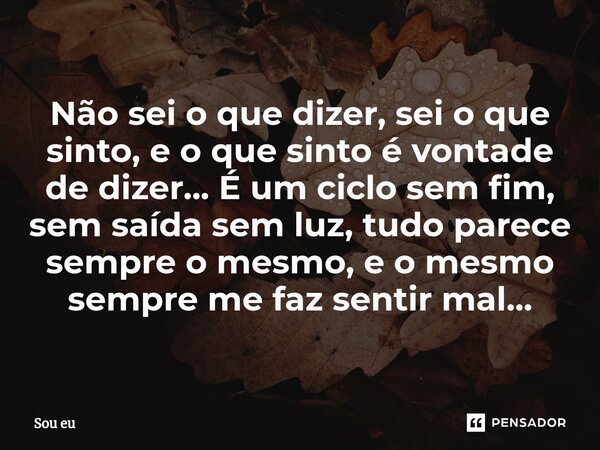 ⁠Não sei o que dizer, sei o que sinto, e o que sinto é vontade de dizer... É um ciclo sem fim, sem saída sem luz, tudo parece sempre o mesmo, e o mesmo sempre m... Frase de SOU EU.