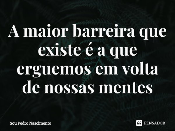 ⁠A maior barreira que existe é a que erguemos em volta de nossas mentes... Frase de Sou PEDRO NASCIMENTO.