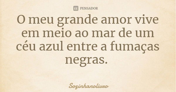 O meu grande amor vive em meio ao mar de um céu azul entre a fumaças negras.... Frase de Sozinhanolivro.