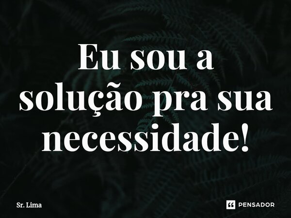 ⁠Eu sou a solução pra sua necessidade!... Frase de Sr. Lima.