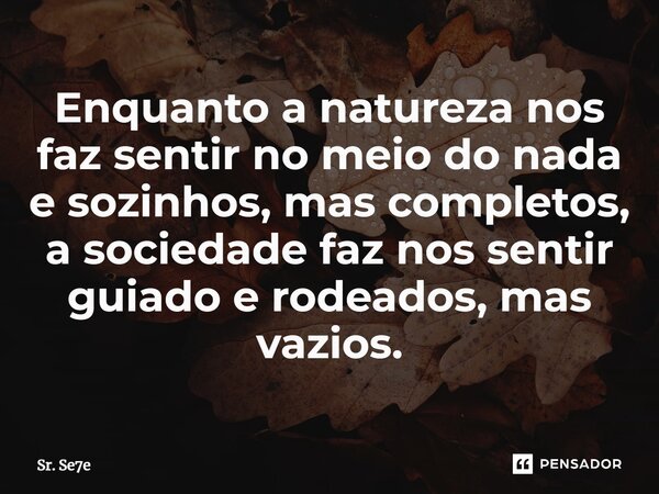 ⁠Enquanto a natureza nos faz sentir no meio do nada e sozinhos, mas completos, a sociedade faz nos sentir guiado e rodeados, mas vazios.... Frase de Sr. Se7e.