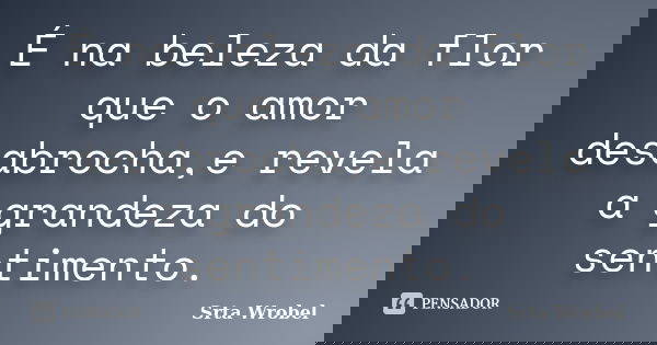 É na beleza da flor que o amor desabrocha,e revela a grandeza do sentimento.... Frase de Srta Wrobel.