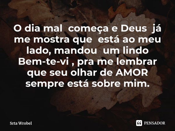 ⁠O dia mal começa e Deus já me mostra que está ao meu lado, mandou um lindo Bem-te-vi , pra me lembrar que seu olhar de AMOR sempre está sobre mim.... Frase de Srta Wrobel.