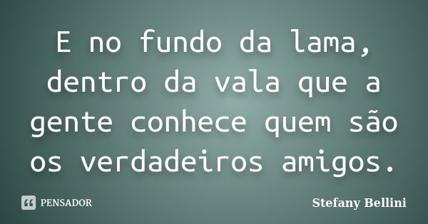 E no fundo da lama, dentro da vala que a gente conhece quem são os verdadeiros amigos.... Frase de Stefany Bellini.