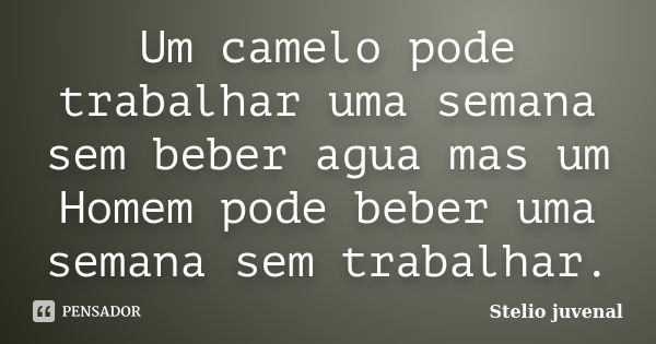 Um camelo pode trabalhar uma semana sem beber agua mas um Homem pode beber uma semana sem trabalhar.... Frase de Stelio juvenal.