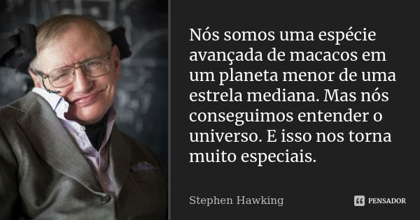 Nós somos uma espécie avançada de macacos em um planeta menor de uma estrela mediana. Mas nós conseguimos entender o universo. E isso nos torna muito especiais.... Frase de Stephen Hawking.