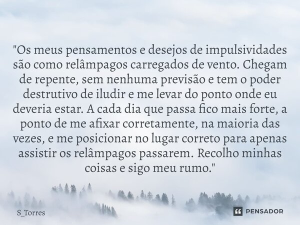"Os meus pensamentos e desejos de impulsividades são como relâmpagos carregados de vento. Chegam de repente, sem nenhuma previsão e tem o poder destrutivo... Frase de S_Torres.