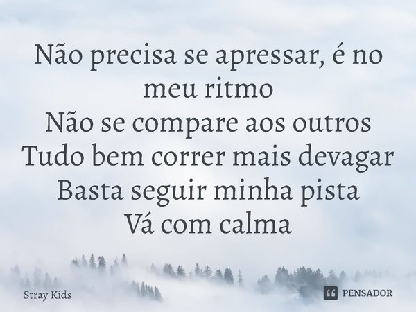 ⁠Não precisa se apressar, é no meu ritmo
Não se compare aos outros
Tudo bem correr mais devagar
Basta seguir minha pista
Vá com calma... Frase de Stray Kids.