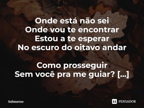 ⁠Onde está não sei
Onde vou te encontrar
Estou a te esperar
No escuro do oitavo andar
Como prosseguir
Sem você pra me guiar?
E olha aonde eu vim parar... Frase de Submerso.