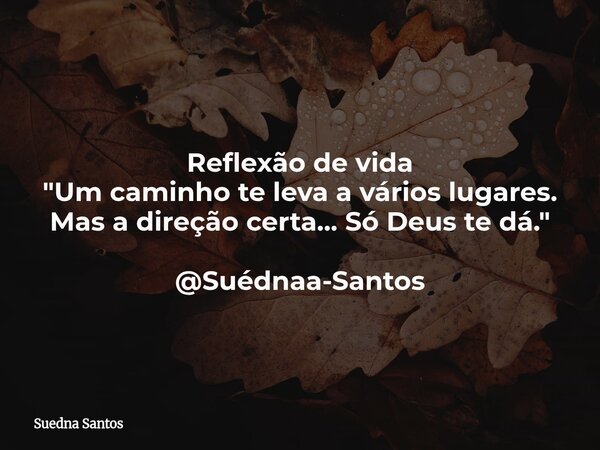 Reflexão de vida "Um caminho te leva a vários lugares. Mas a direção certa... Só Deus te dá." @Suédnaa-Santos... Frase de Suedna Santos.