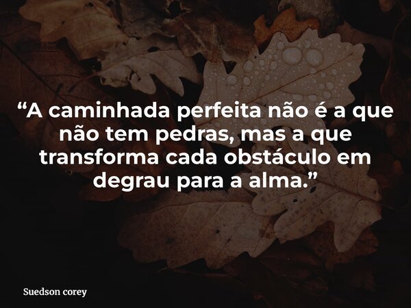 “A caminhada perfeita não é a que não tem pedras, mas a que transforma cada obstáculo em degrau para a alma.”... Frase de Suedson corey.