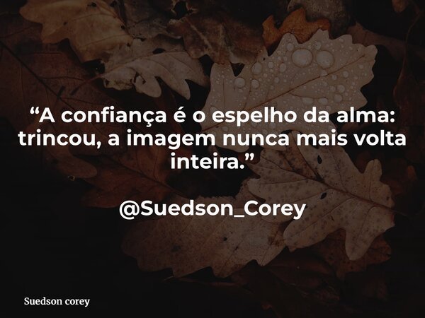 “A confiança é o espelho da alma: trincou, a imagem nunca mais volta inteira.” @Suedson_Corey... Frase de Suedson corey.
