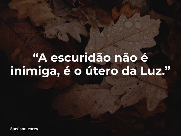 “A escuridão não é inimiga, é o útero da Luz.”... Frase de Suedson corey.