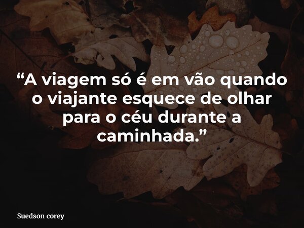 “A viagem só é em vão quando o viajante esquece de olhar para o céu durante a caminhada.”... Frase de Suedson corey.